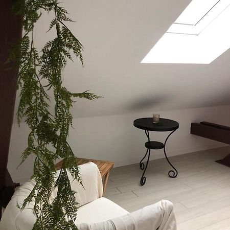 Alsacian Home - Old Town Cosy Apartments 科尔马 外观 照片