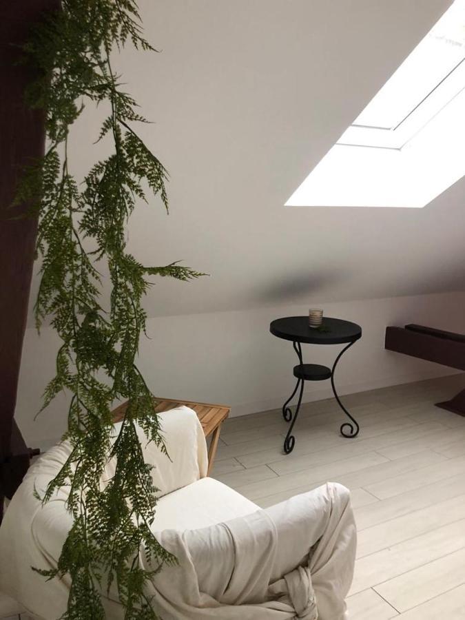 Alsacian Home - Old Town Cosy Apartments 科尔马 外观 照片