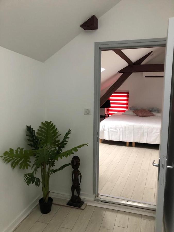 Alsacian Home - Old Town Cosy Apartments 科尔马 外观 照片
