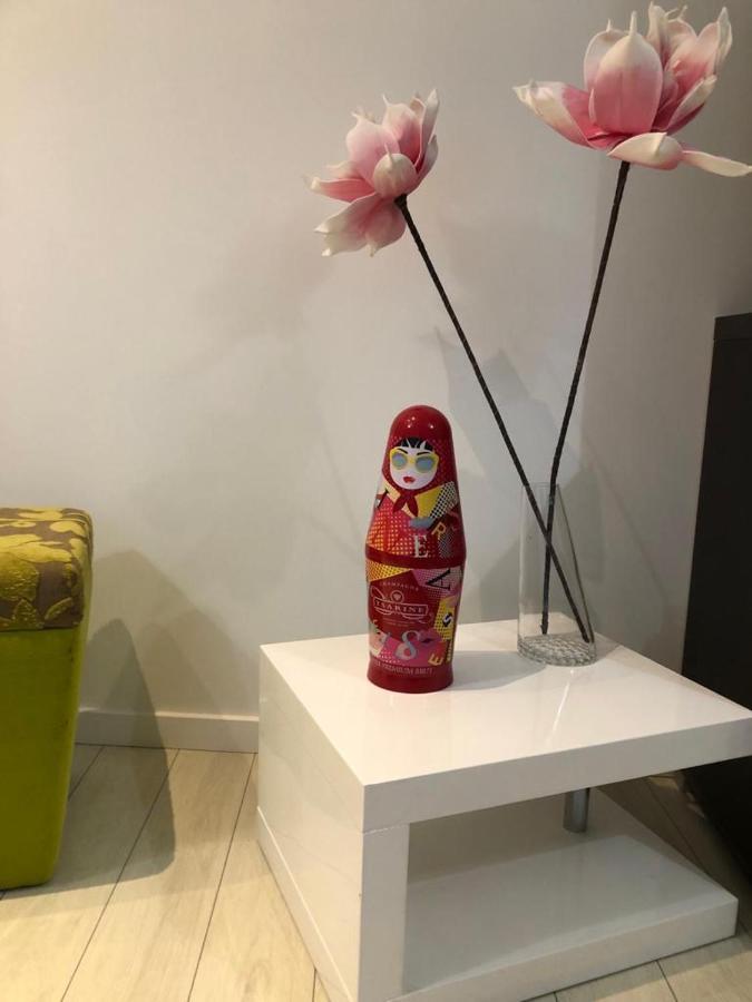 Alsacian Home - Old Town Cosy Apartments 科尔马 外观 照片